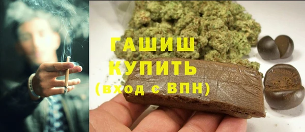 гидра Алексин
