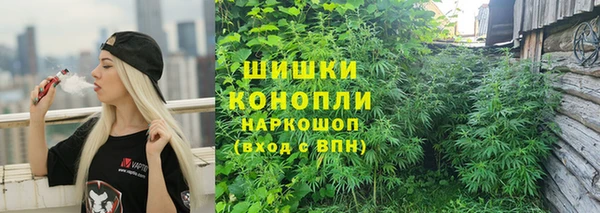 гидра Алексин
