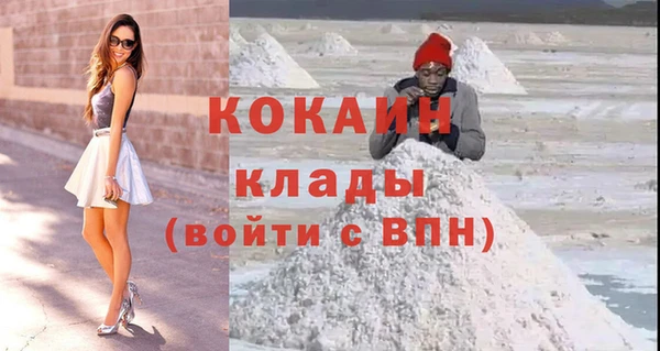 гидра Алексин