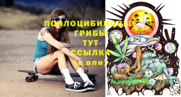 ECSTASY Алексеевка