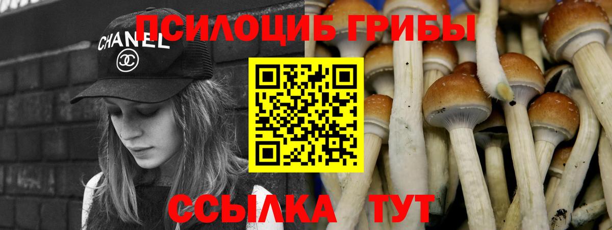 Псилоцибиновые грибы ЛСД Лесной